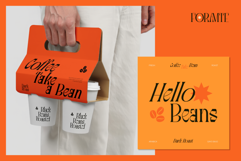 unique elegant serif font