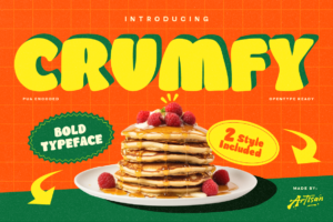 chunky display font